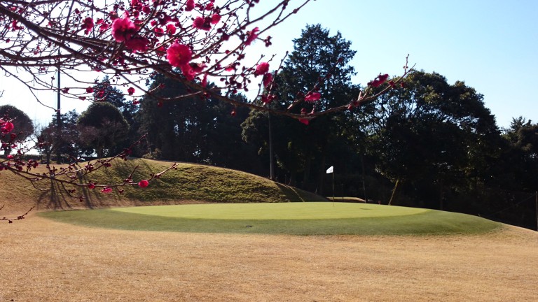 寒の内から春の色大富士ゴルフ場 東武緑地株式会社コース管理部